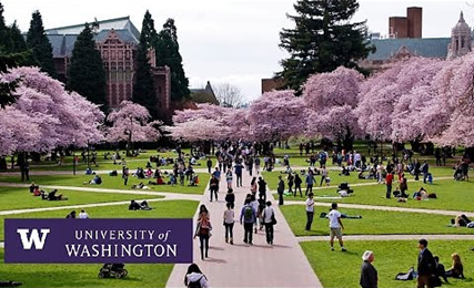 University of Washington Seattle - Campus Tour - YouTube